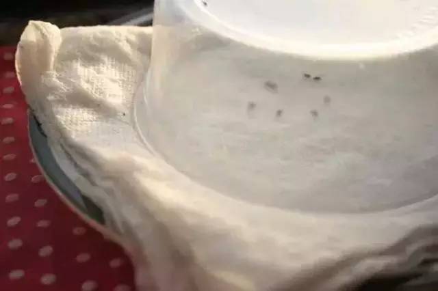 b272991004baf17979ea19a1278953fd