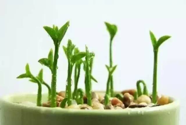 5ffd44dce2e9c3b1ea055cc2c28bd4fb