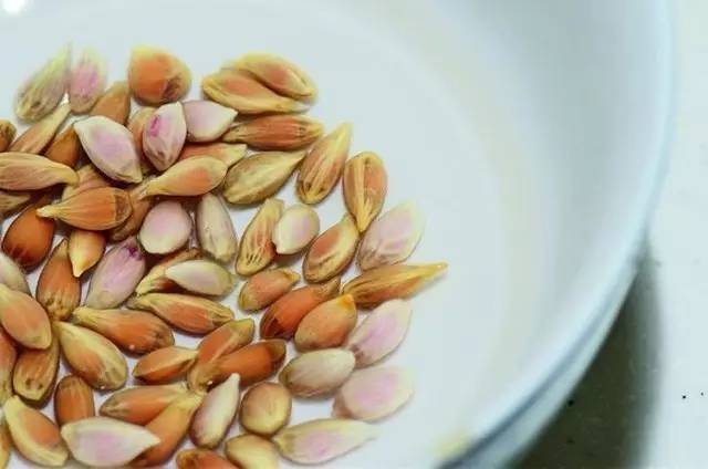 21fec2c6a0fc15da9c03dfa8d02f5a6b