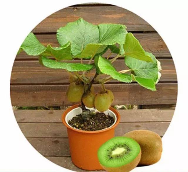 5b4075de933af50a3b21be6000c6ace7