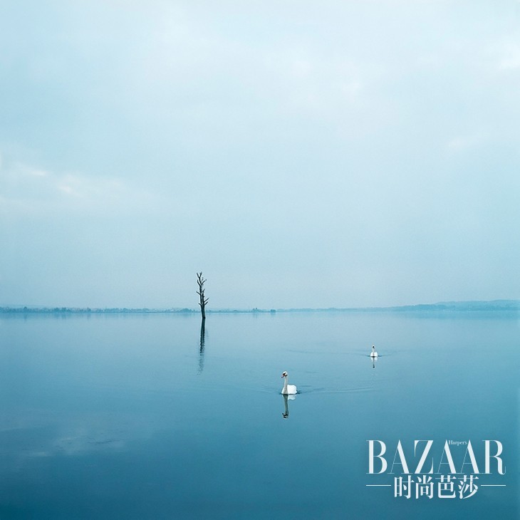 e6402344dc2d3e019932920aa067a236