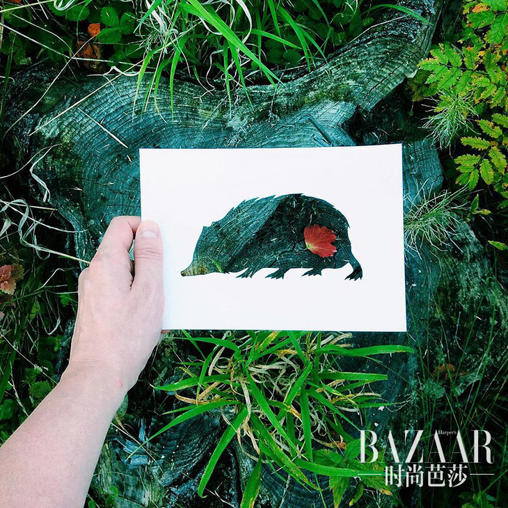 ca7cb6eb4e761a5d98b8ac109ca31526