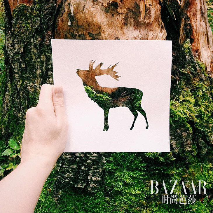 b36607a705cfe31e6769899c21b35e47