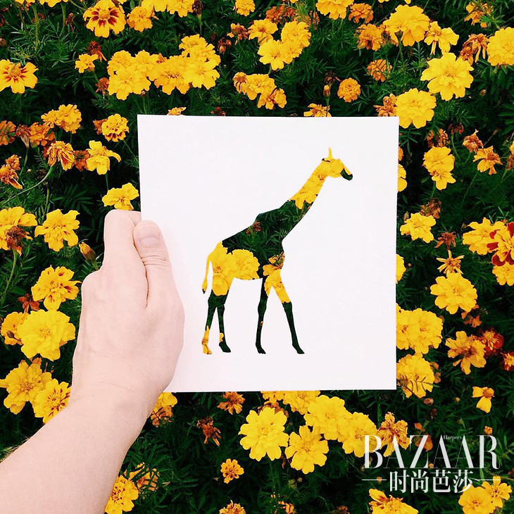 bdb12626348c293babf94190965608b2