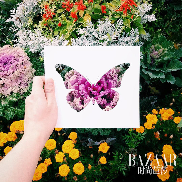 113b093585e6e1ffe0f520be619fb729