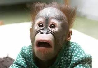 92b2e3bd3a91bbbaea65d5163ee2dd9b