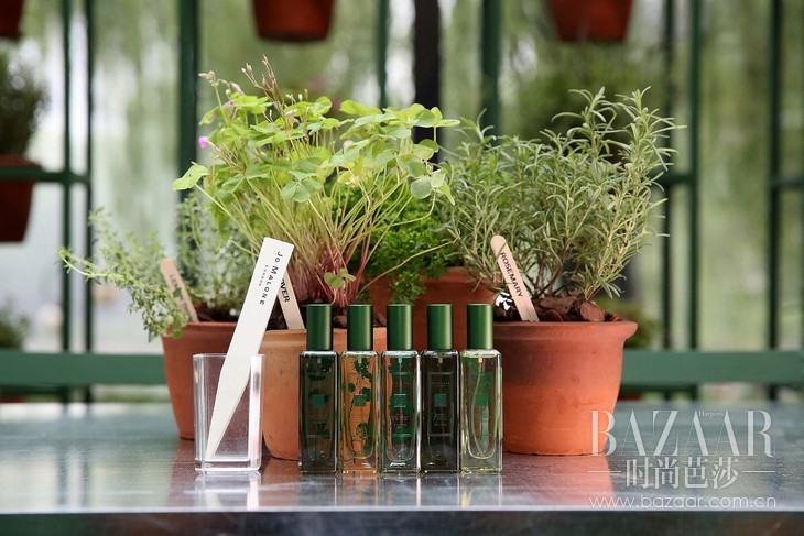 祖·玛珑The Herb Garden香草花园英伦限量系列