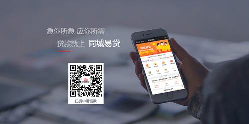 易钱包多少钱,钱包易贷不能取消审核条件:1