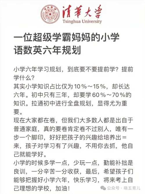 曾经只接触过语数英的他们，现在变样了