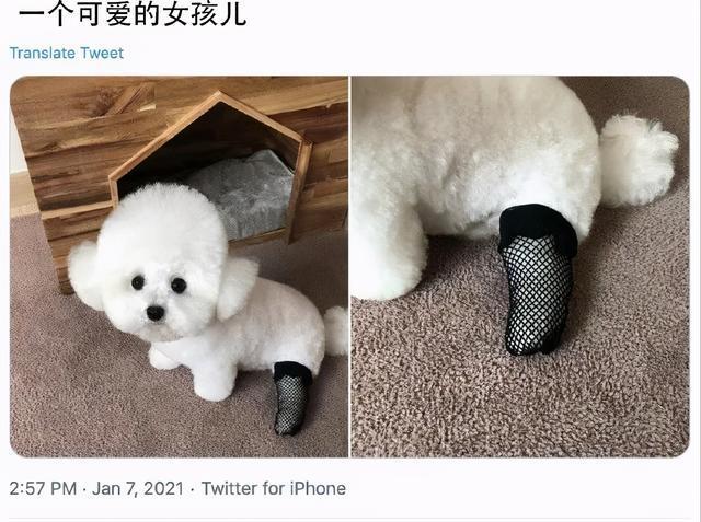 一穿它出现,怎么就赢得很大?