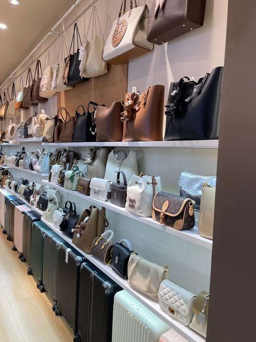 箱包配件设计,本地已有上百家专卖店销售各种款式包包