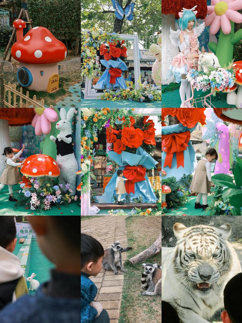 孩子们已做好准备,变身“跳进兔子洞的爱丽丝”