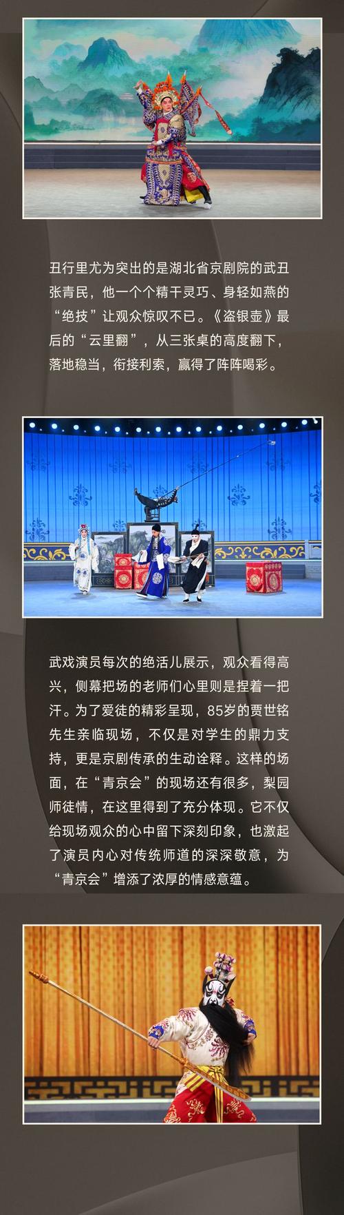 “青京会”:闻道前路,繁花如锦