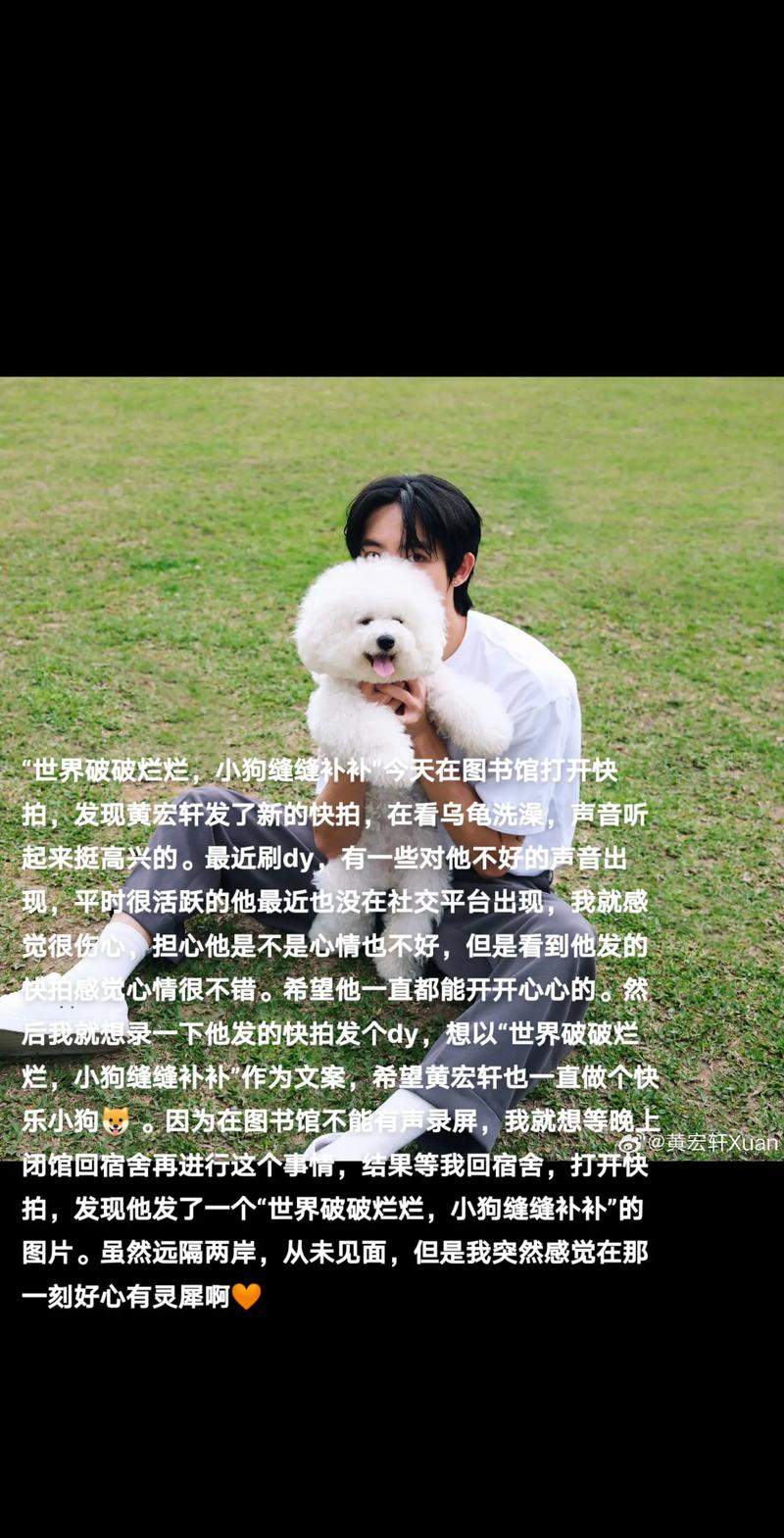 世界破破烂烂,小狗缝缝补补