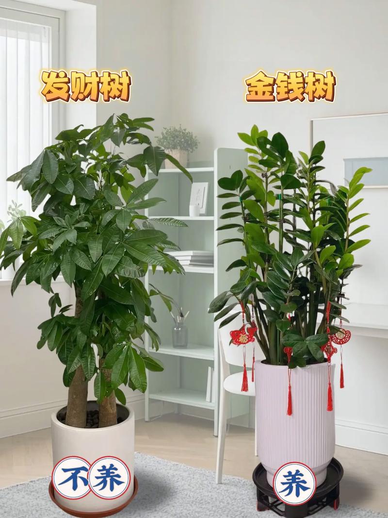赌十块钱,这样的盆栽你一定没养过
