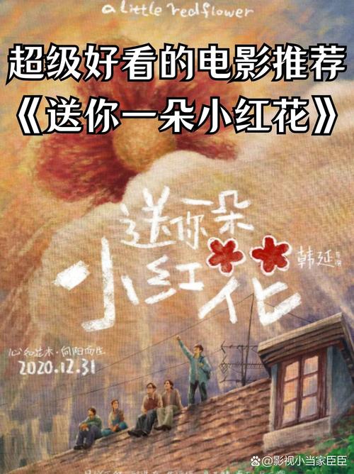 韩延:小红花,开在生活的晦暗里