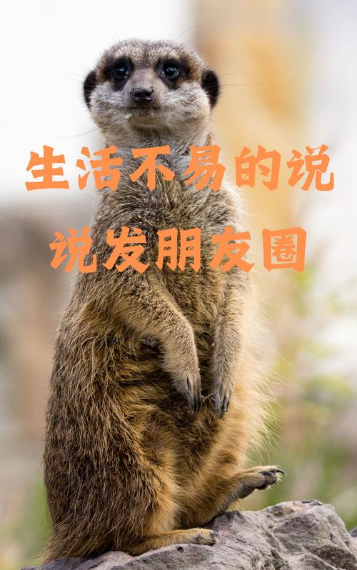 好不容易出门度个假,可皮肤它也想「偷懒」?