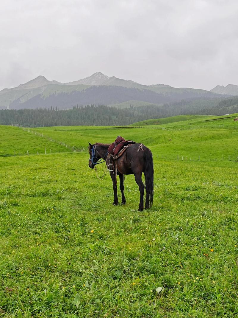 时尚芭莎90秒 |你想都不敢想的盛世美景,坐标中国