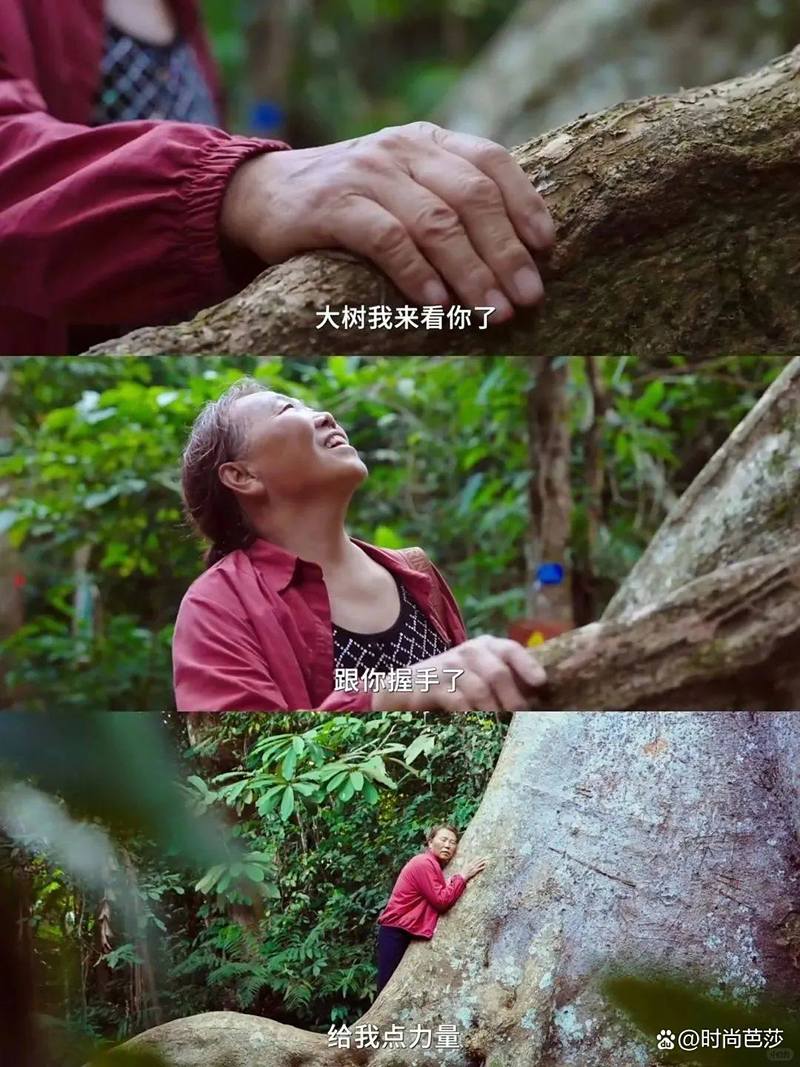 出走的房主任，爆红和爆哭一起来