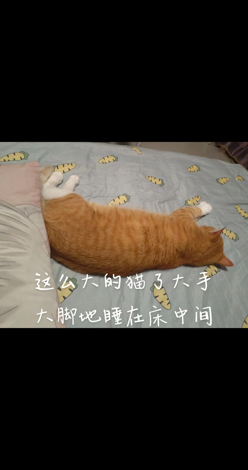 那么多床，让你躺个够！