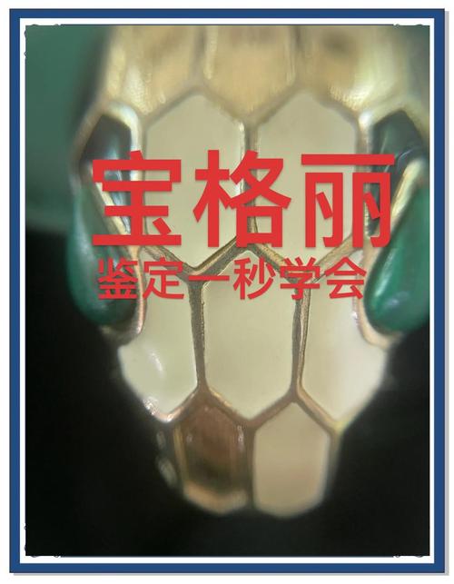 宝格丽标志logo,辨别真品格丽蛇头包真伪方法!