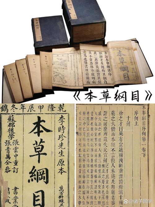 《本草纲目》里的本草化身为妖灵？！