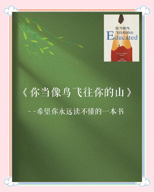 “在他们走出大山前,我先把大山外面的世界引进来”