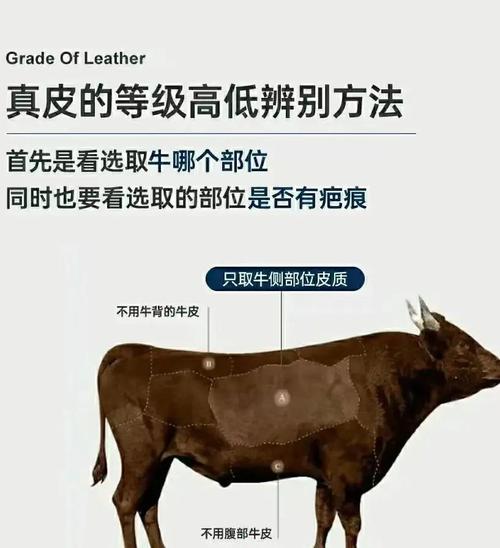 真皮包包怎么辨别,如何辨别真假包包？