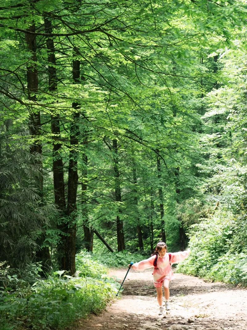 我是夏天,我同意“牛马”去山里徒步
