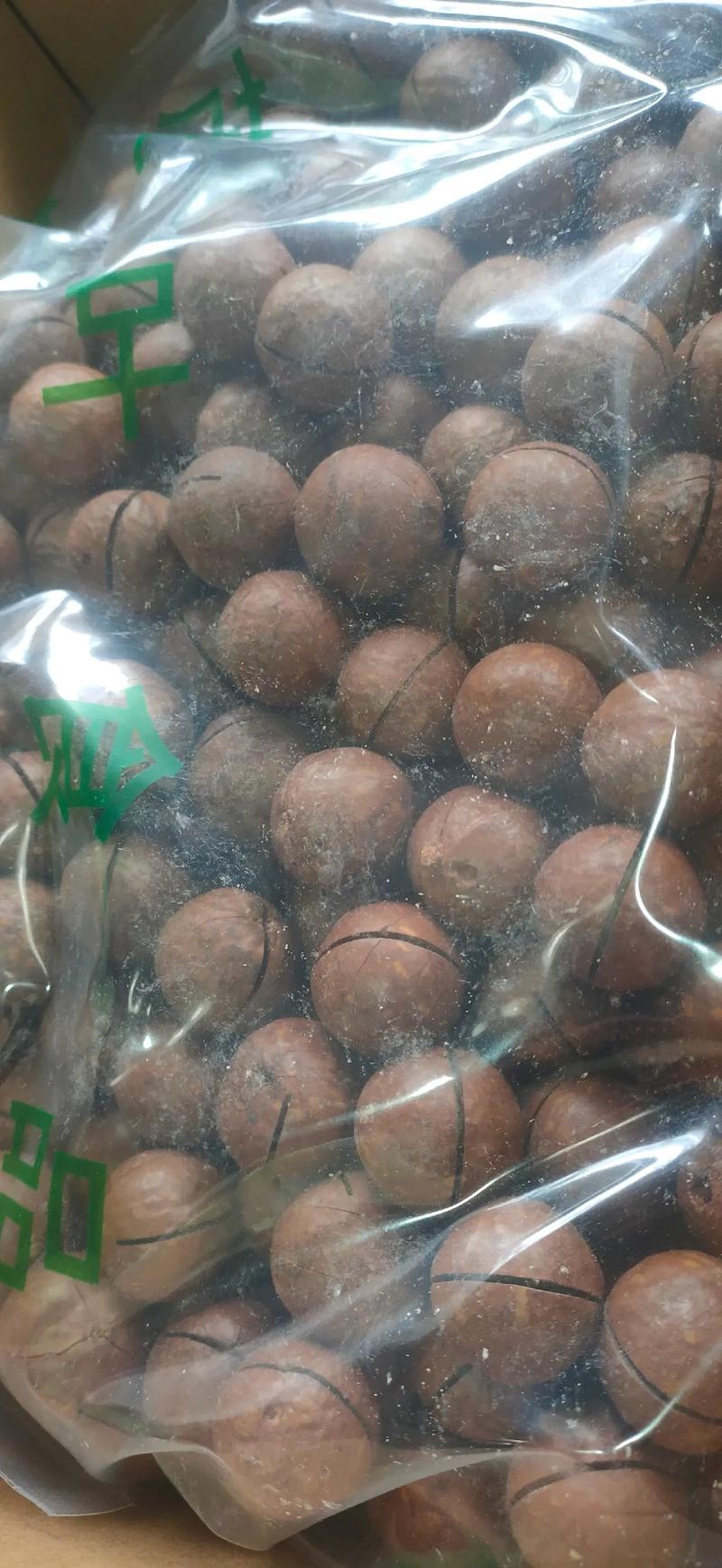 我是一枚甜蜜的坚果