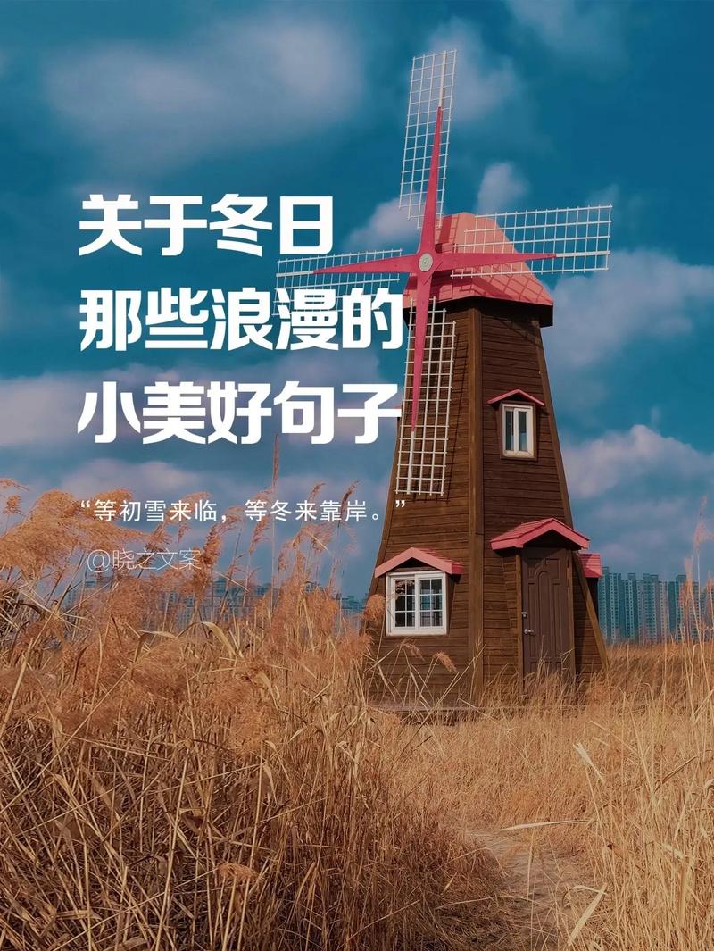 比浪漫更能温暖寒冷冬日的,是细碎真实的快乐