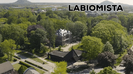 生命大熔炉!空降世界最疯的艺术养鸡工作室