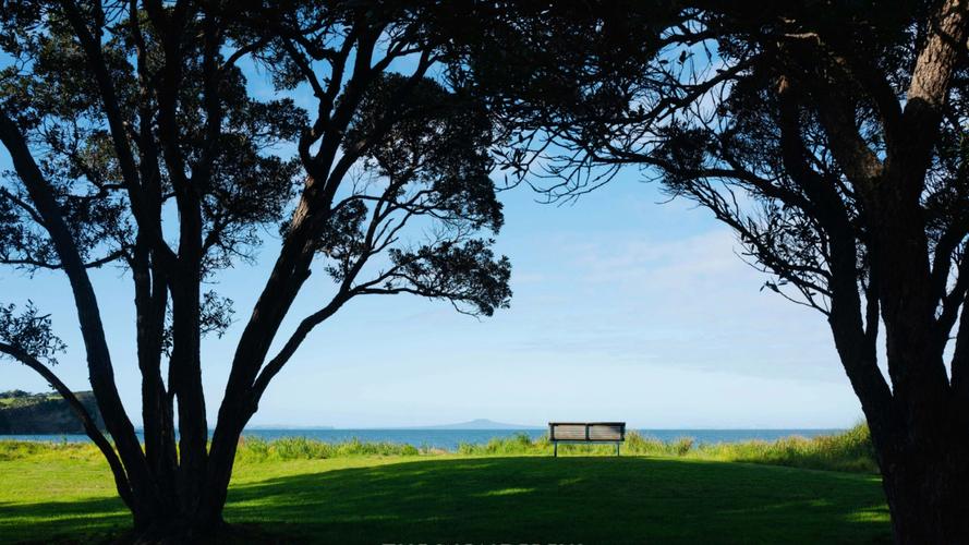 It Must Be Beautiful摄影赏