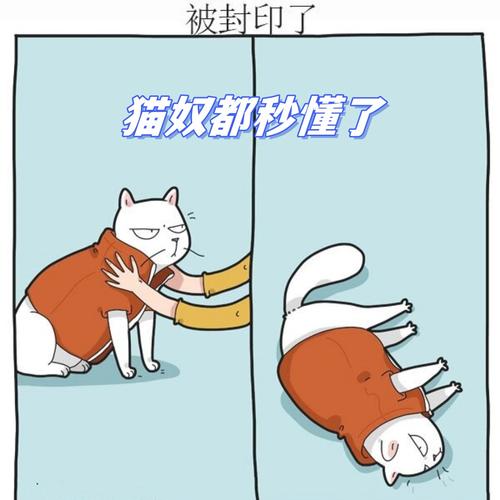 猫奴看过来了!这些设计让你和主子和谐共生!