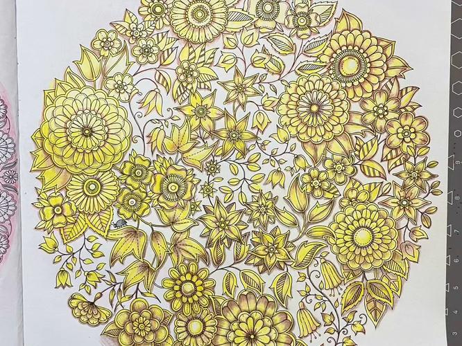 减压不只有《秘密花园》,为这些城市填色更高级!