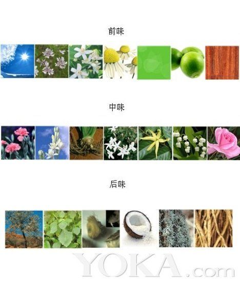 升温5度 今冬必败的10款暖香