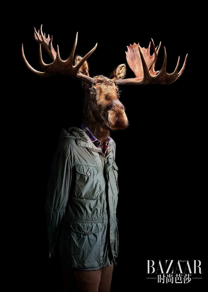 38d715662cdb3b8faab0f5036e1d547d