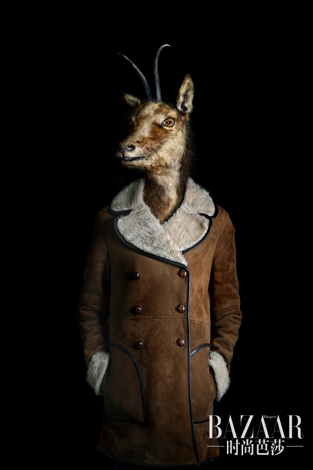 72bd1811f5ef356b906ba788f4777ba3