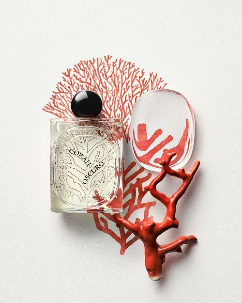 1725012781781740.jpg LES ESSENCES_2024_VISUEL MONO_CORAIL OSCURO_RVB_2025x2532px_DIPTYQUE_VISUAL ONLY.jpg